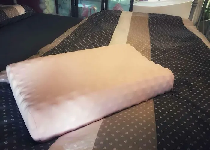 招待所 Madcat 曼谷疯猫民宿 *
